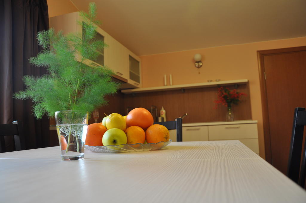 Rado Apartments Sapareva Banya Room photo