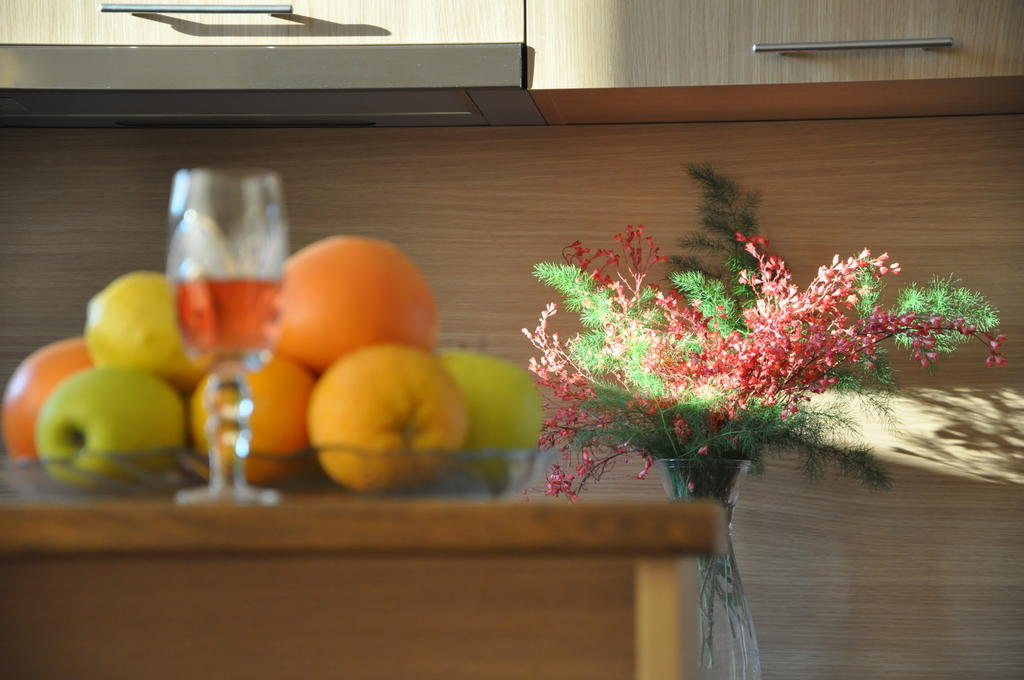 Rado Apartments Sapareva Banya Room photo